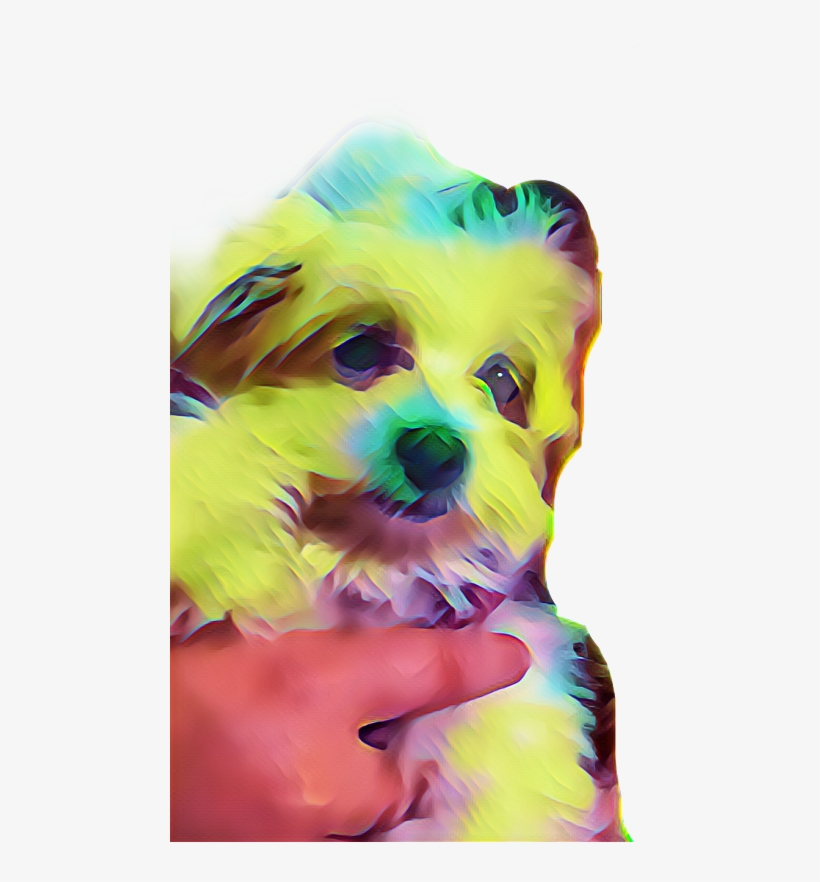 Companion Dog, transparent png download