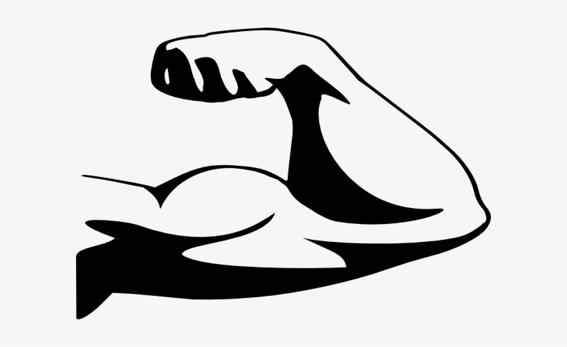 Muscle Png Hd - Fitness Journal 2017 Food Diary Workout Journal Logbook, transparent png download