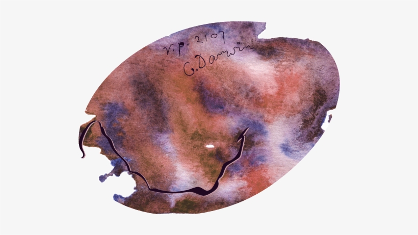 One Particularly Special Egg That Has Not Yet Fallen - Bison, transparent png download
