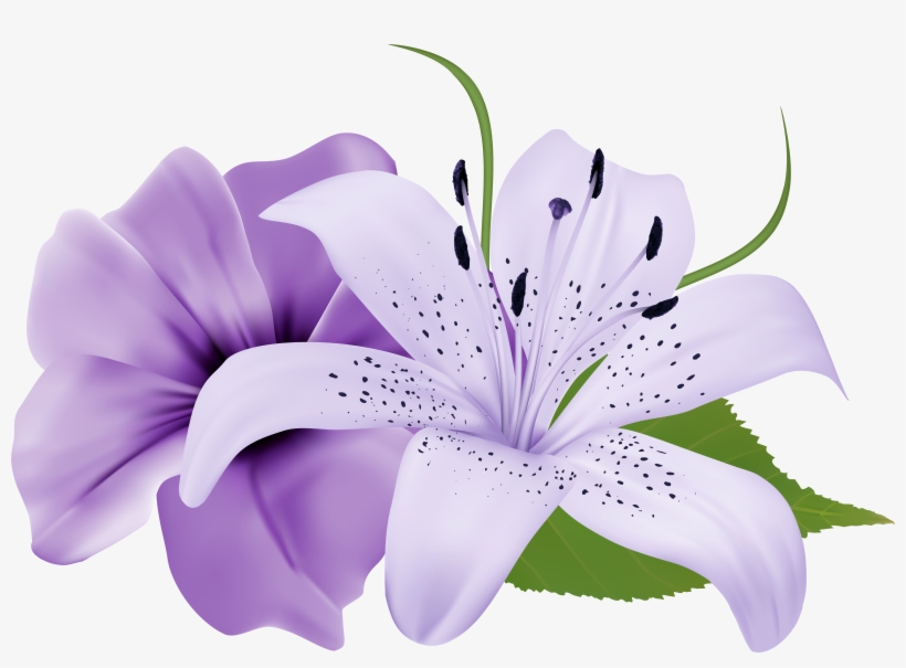 Purple Two Exotic Flowers Png Clipart Image - Mauve Purple Flower Png, transparent png download