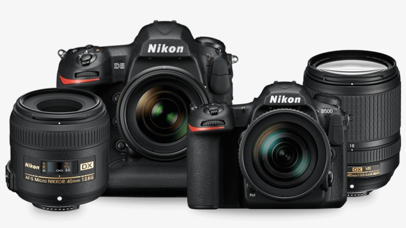 Nikon D5 Vs D3400, transparent png download