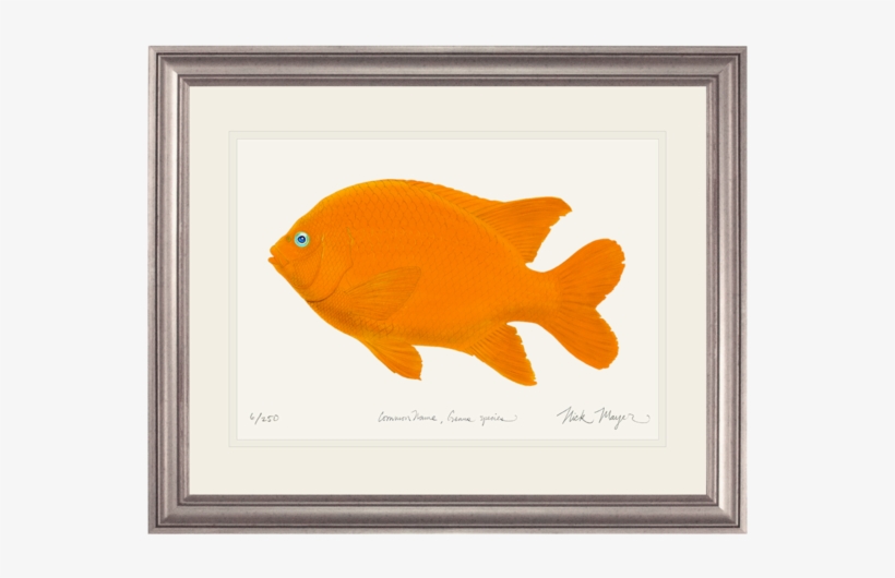 Painting Of A Salmon, transparent png download