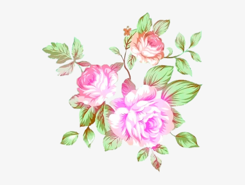Flower Prints - Rosa Glauca, transparent png download