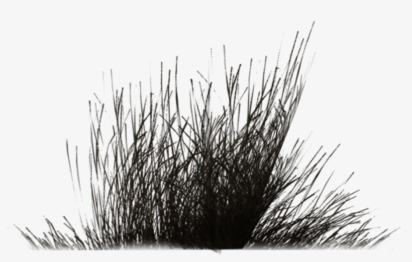 Bush Png Black And White Transparent Bush Black And - Grass Black And White Png, transparent png download