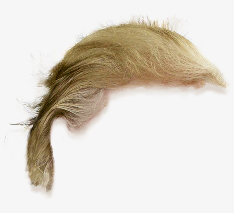 Donald Trump Hair Png Transparent, transparent png download