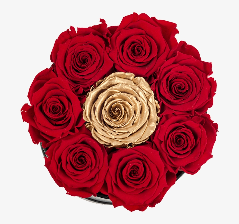 Prev - Roses In A Box - Bella's Flower Shop, transparent png download