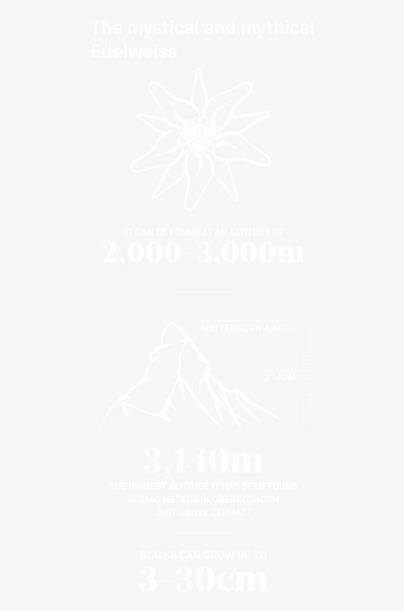 Infographic Edelweiss - Samsung Logo White Png, transparent png download