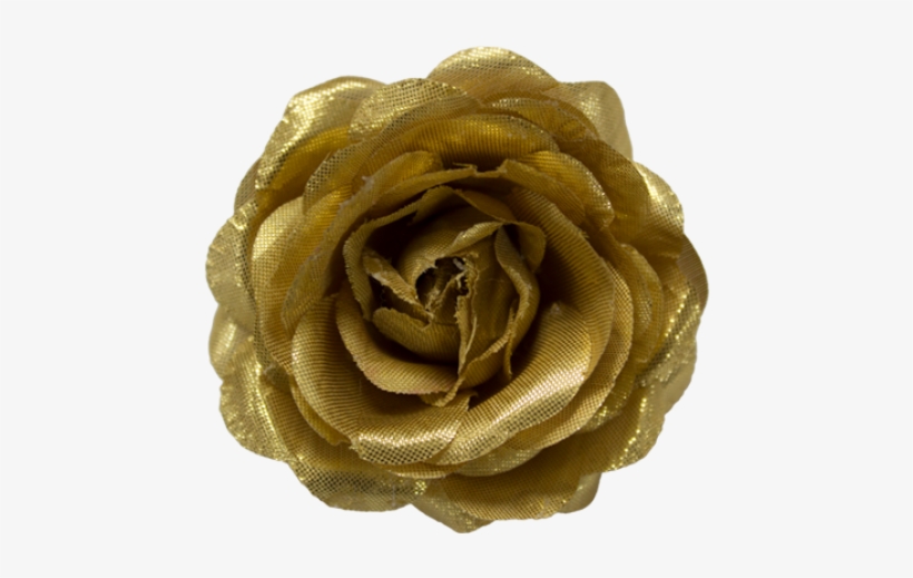 A460-gold - Garden Roses, transparent png download