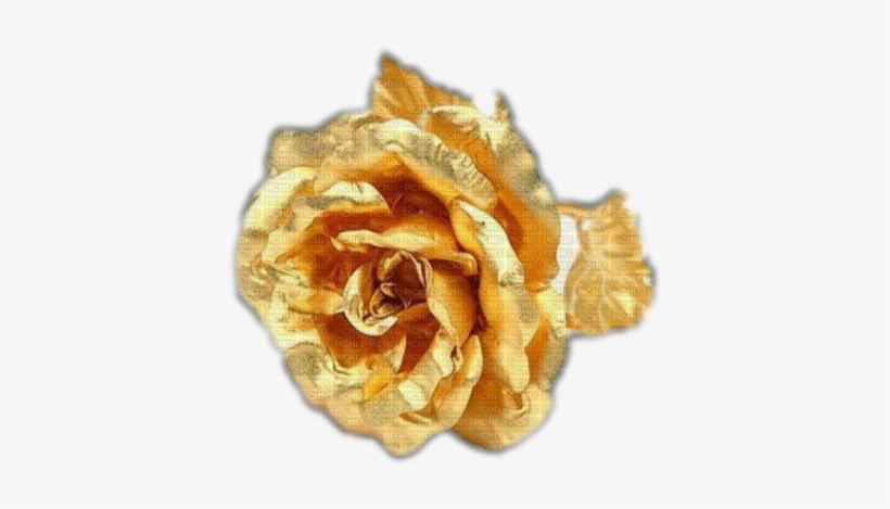 Gold Rose - 24 Carat Gold Flower, transparent png download