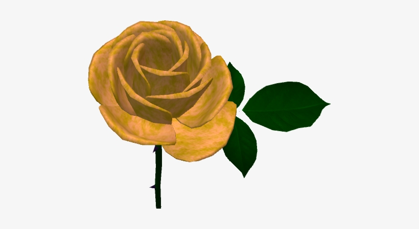 Caledon Brigadoon Gold Rose 2018 - Caledon, transparent png download