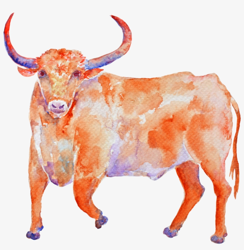The Taurus Bull, Just Like Every Other Zodiac Sign, - Zazzle Aquarell-stier Stier Iphone 8/7 Hülle, transparent png download