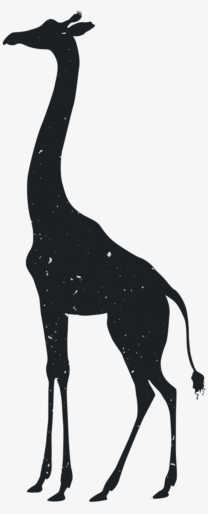 Giraffe Tiger Silhouette Animal Drawing - Transparent Giraffe Silhouette, transparent png download