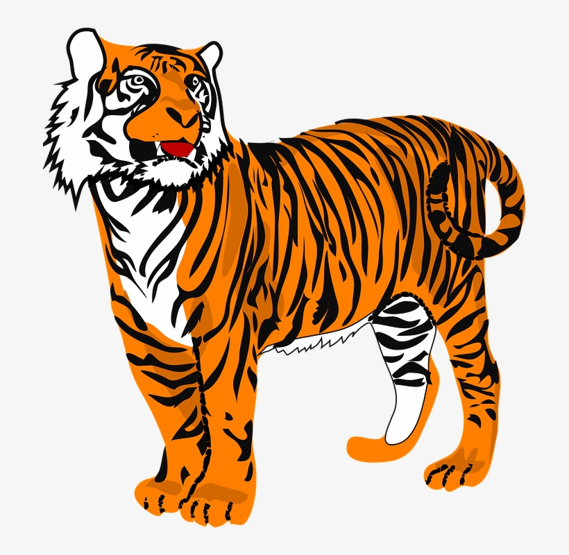 Tiger Cat Animal - Tiger Clipart, transparent png download