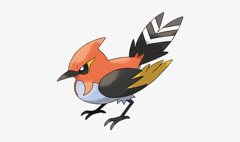 Fletchinder - Pokemon Fletchinder, transparent png download