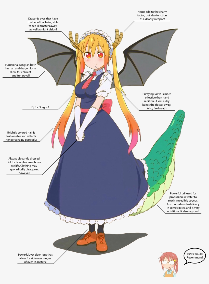 Let's Take A Look At Some Of Her Physical Attributes - Dragon Wings Tohru Dragon Maid, transparent png download