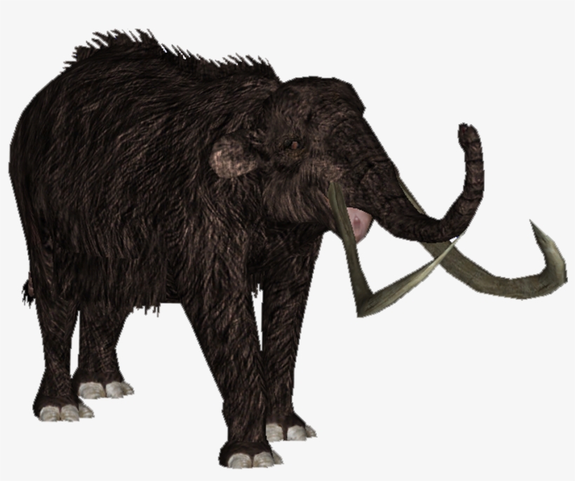 Woolly Mammoth - Zt2 Download Library Wiki Mammoth, transparent png download