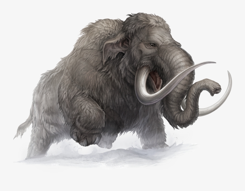 Aventuria Bestiary By Pechschwinge - Mammoth Deviantart, transparent png download