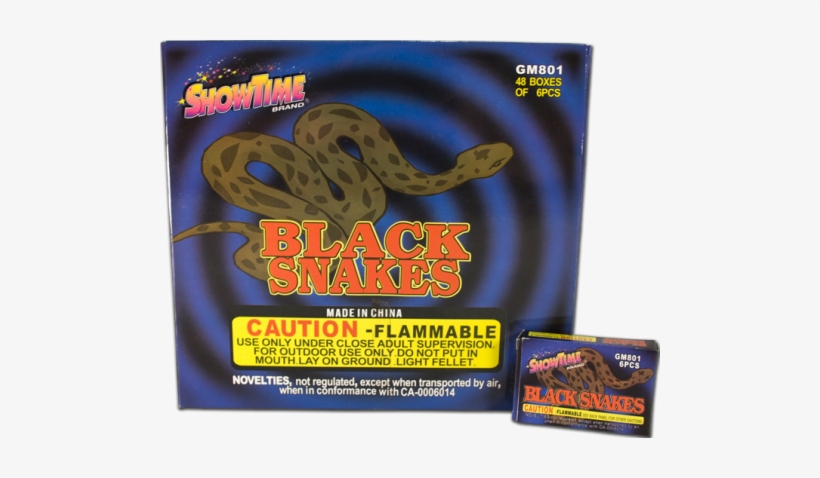 Watch As These Black Snakes Slither Through The Night - Australian Snakes And Lizards, transparent png download