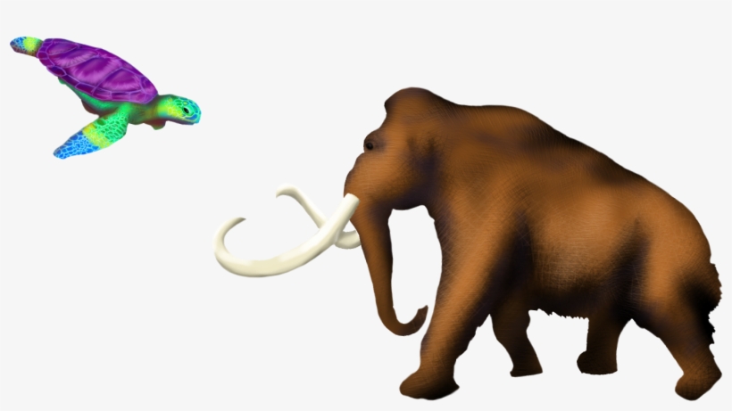 Indian Elephant, transparent png download