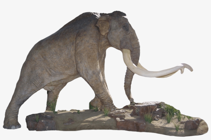 Ready - Mammoth Lakes, transparent png download