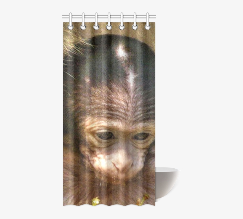 Sweet Baby Monkey Shower Curtain - Orangutan, transparent png download