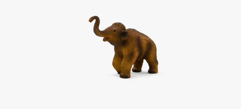 Woolly Mammoth Calf - Woolly Mammoth With Calf, transparent png download