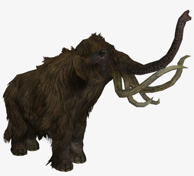 Mammoth - Skyrim Wiki - Skyrim Mammoth Png, transparent png download
