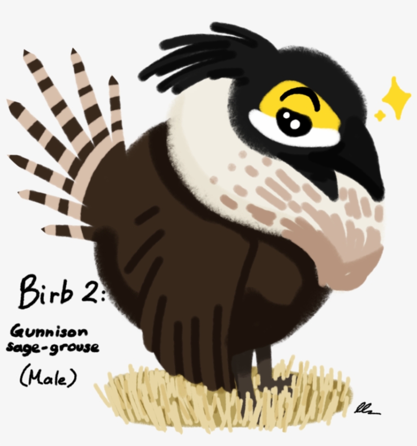 Jpg Royalty Free Library Birb Drawing Adorable Bird - Accipitriformes, transparent png download