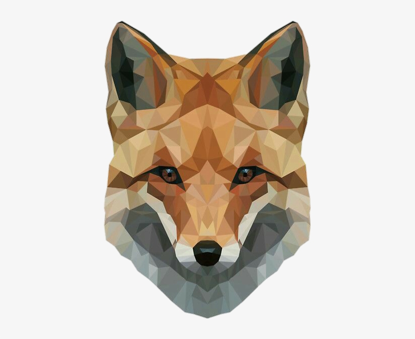 Report Abuse - Snow Fox Or Polfox, transparent png download