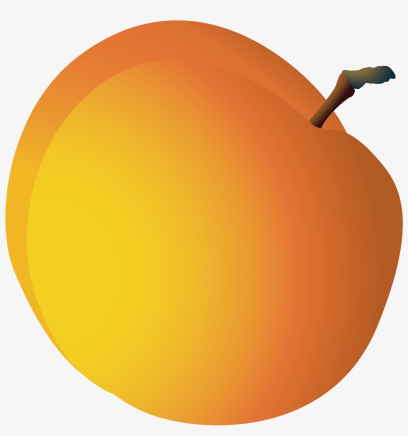 Jpg Transparent Orange Grapefruit Pomelo Cartoon Transprent - Vector Graphics, transparent png download