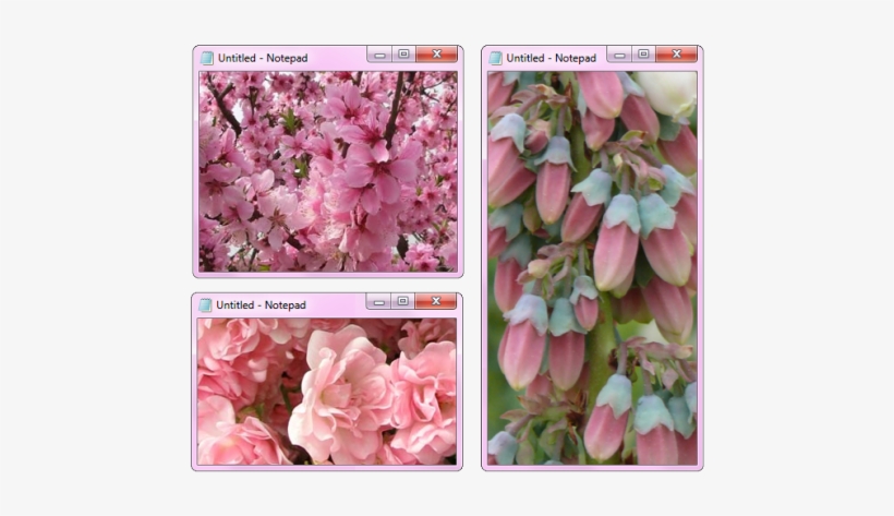 Mine Flower Flowers Pink Nature Pastel Blossom Png - Cherry Blossom, transparent png download