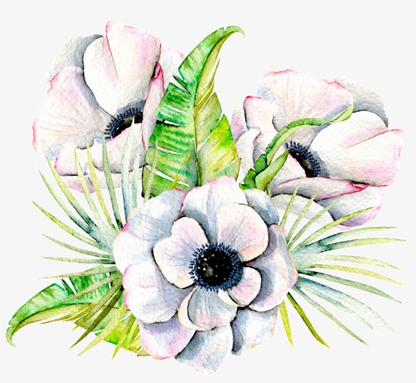 Hand Painted Three Elegant Flowers Png Transparent - Flower, transparent png download