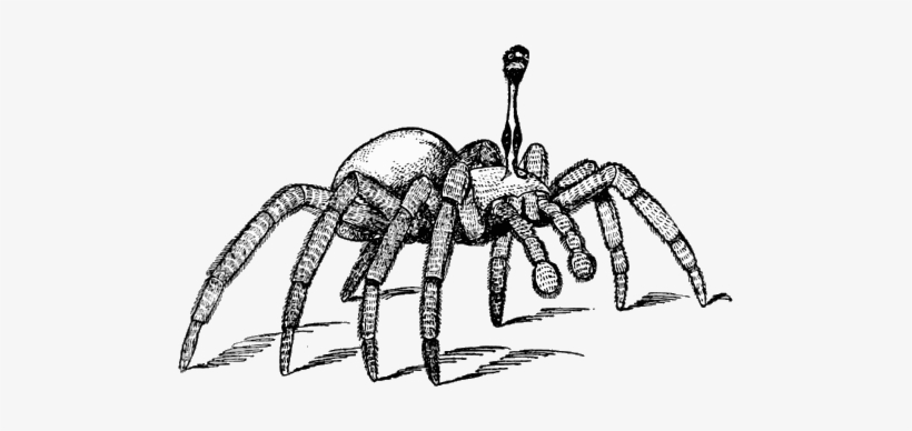 The Stalk-eyed Spider Nothing But A Great Mechanical - Stalk Eyed Spider, transparent png download