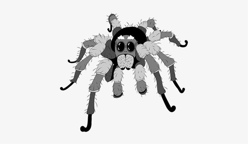 Tarantula - Cartoon, transparent png download