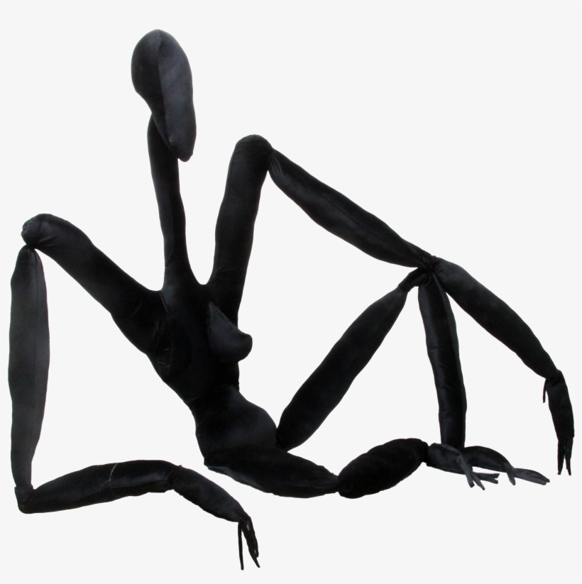 'contemporary Fashion Body' Mixed Media In Black Velvet - Tarantula, transparent png download