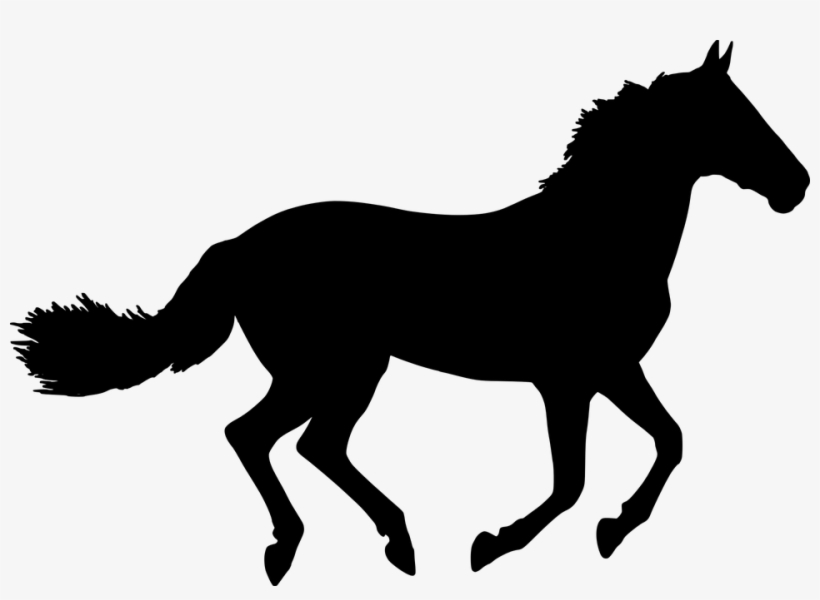 Top Format, Horse In The Mountains, Cashadvance6online - Death From Horse Chart, transparent png download