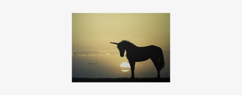 Photography, transparent png download