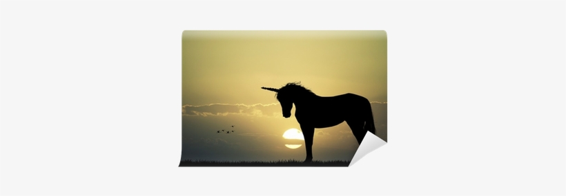 Silhouette, transparent png download