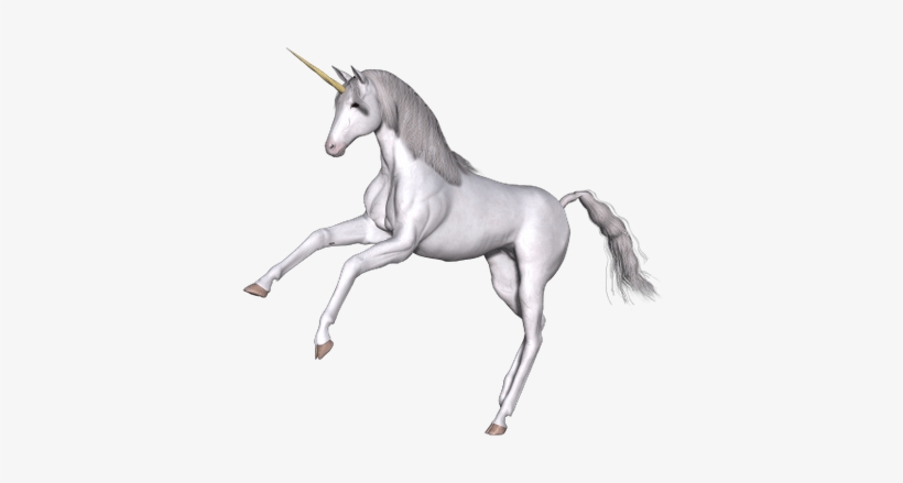 Full White Unicorn Front Legs Up - Unicorn Legs, transparent png download
