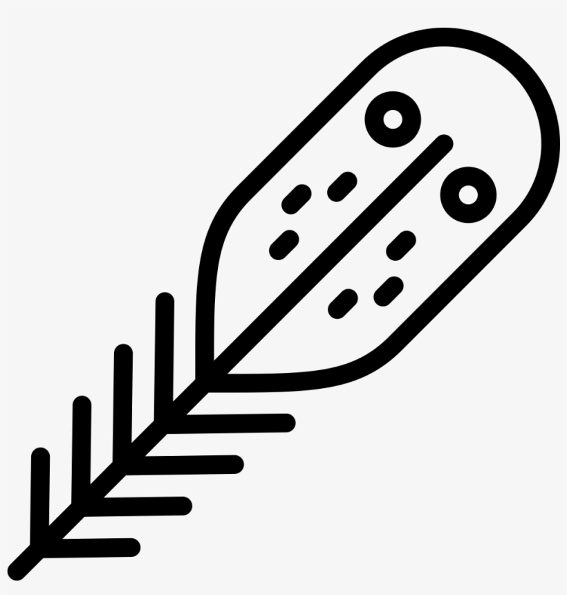 Feather Comments - Line Art, transparent png download