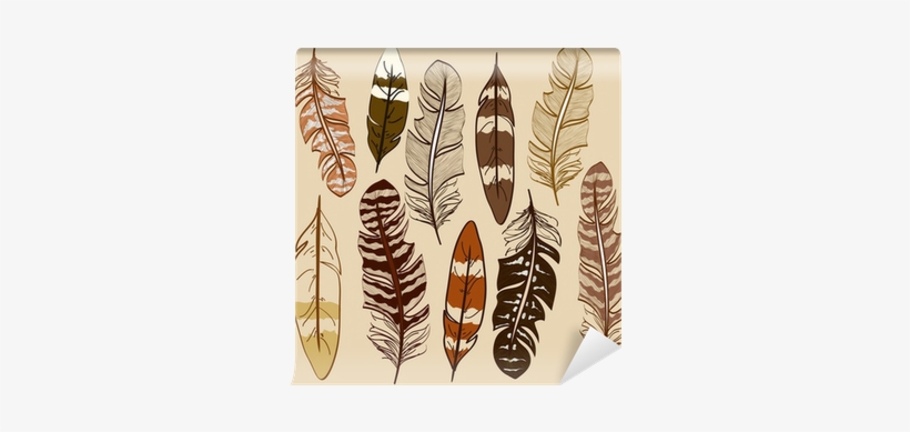 Plumas De Indios Americanos, transparent png download