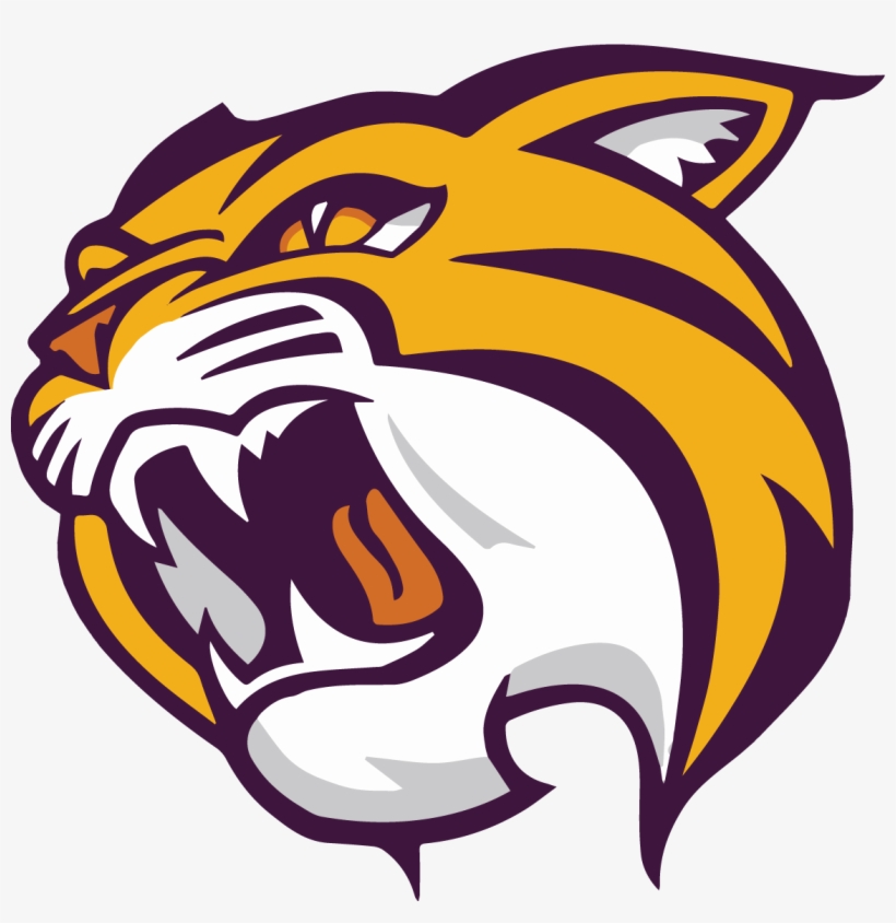 Wild Rose School District Home Of The Wildcats - Wild Rose Elementary School, transparent png download