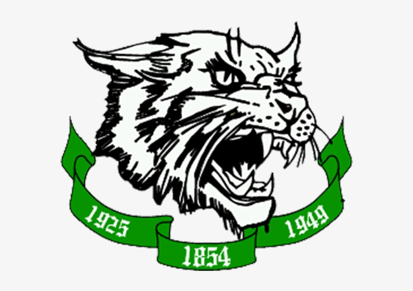 59 321k Phone 12 Oct 2018 - Arundel High School Wildcats, transparent png download