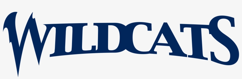 Wildcat Text - Ace Combat, transparent png download