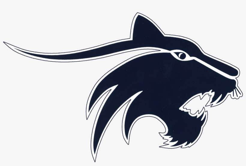 Fang, transparent png download