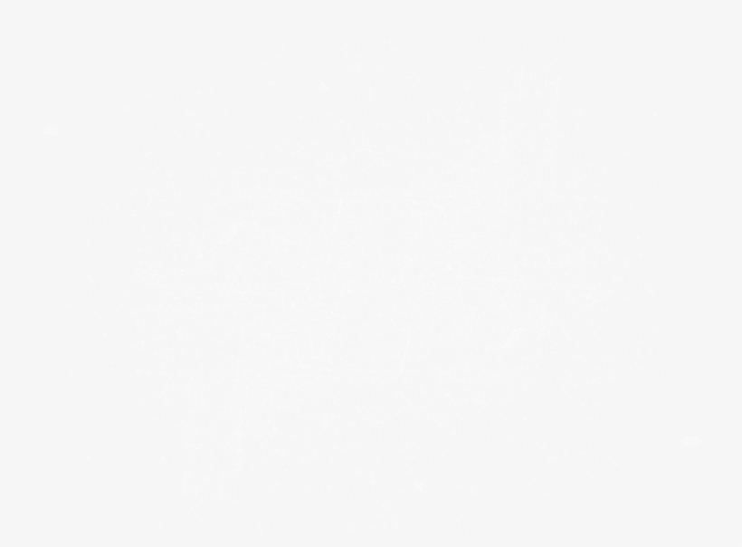 Queensland Government Logo White, transparent png download