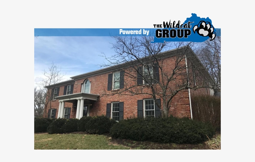 Wildcat June - Kentucky, transparent png download