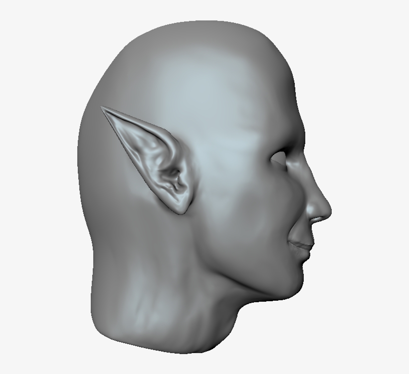 Update - - Bust, transparent png download