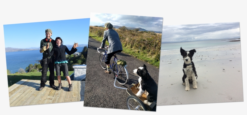 Check Out Kat's Unique Pottery At Lenz-ceramics - Companion Dog, transparent png download