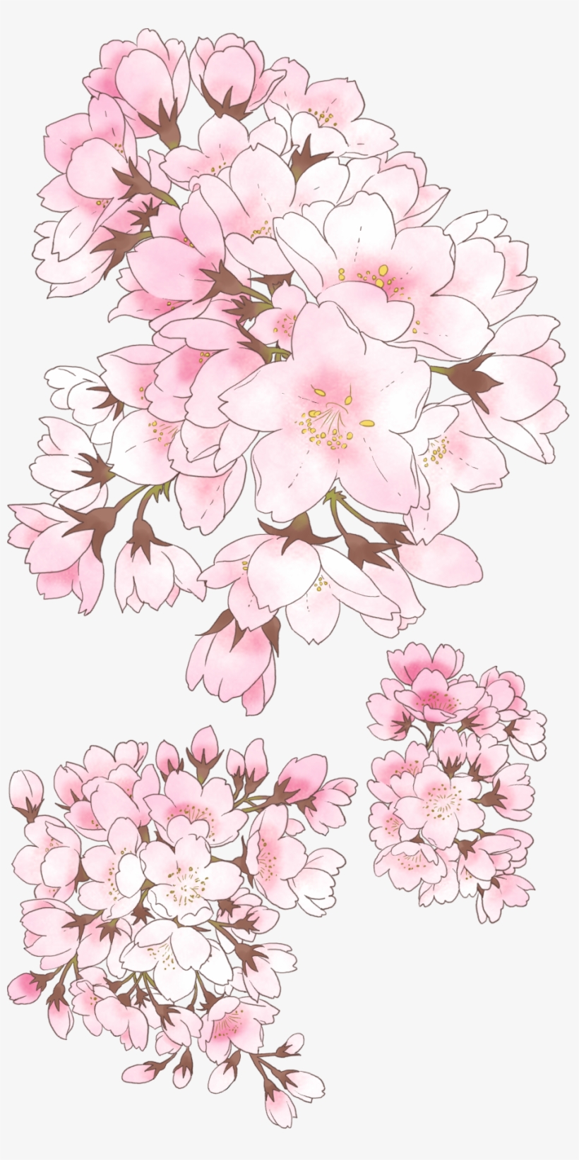 Pink Addiction - Cherry Blossom Pixiv, transparent png download